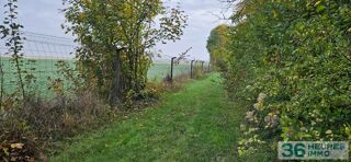  Propriété/château à vendre 