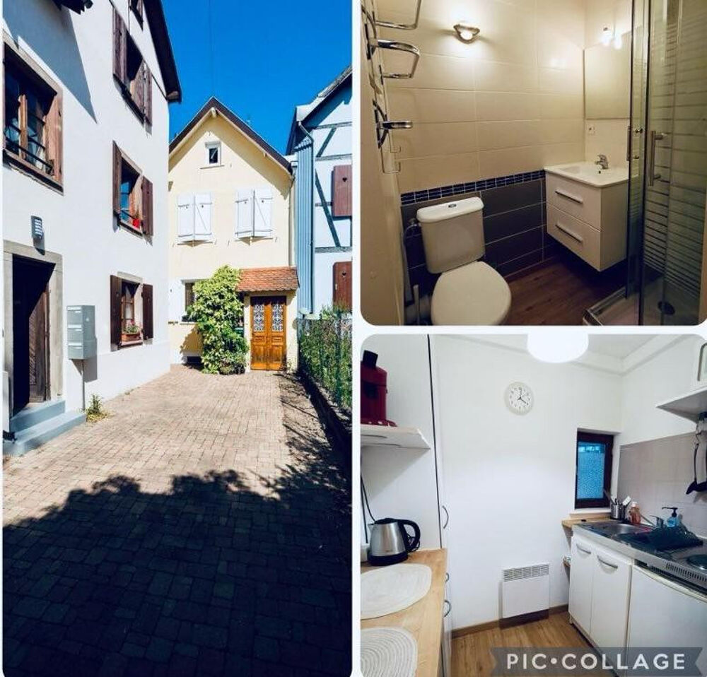Location Appartement Grand F1 meublé Schiltigheim centre Schiltigheim