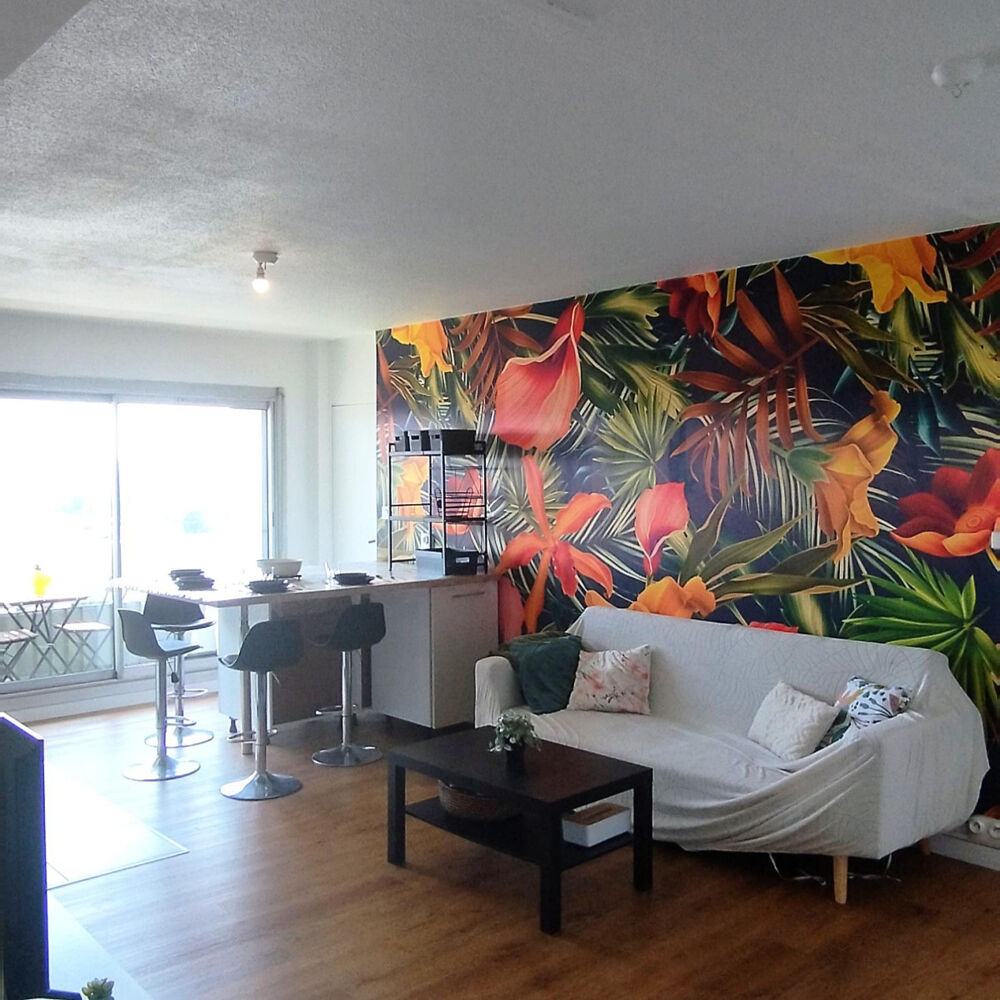 Location Appartement Colocation chaleureuse et conviviale Toulouse