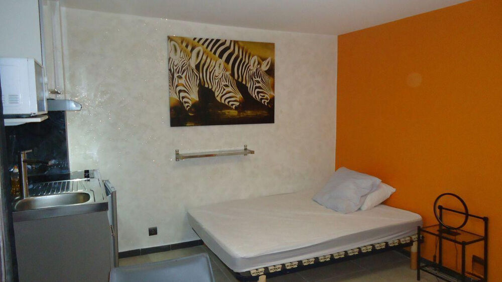 Location Appartement Beau studio entièrement rénové 20m² centre Grenoble