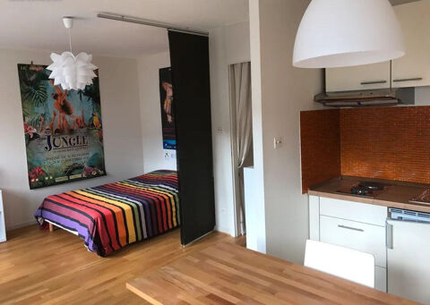   Beau studio meubl� 29m2 hyper centre Strasbourg Appartement - 1 pi�ce(s) - 29 m�