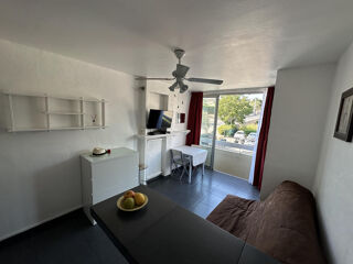  Appartement à louer 1 pièce 20 m²