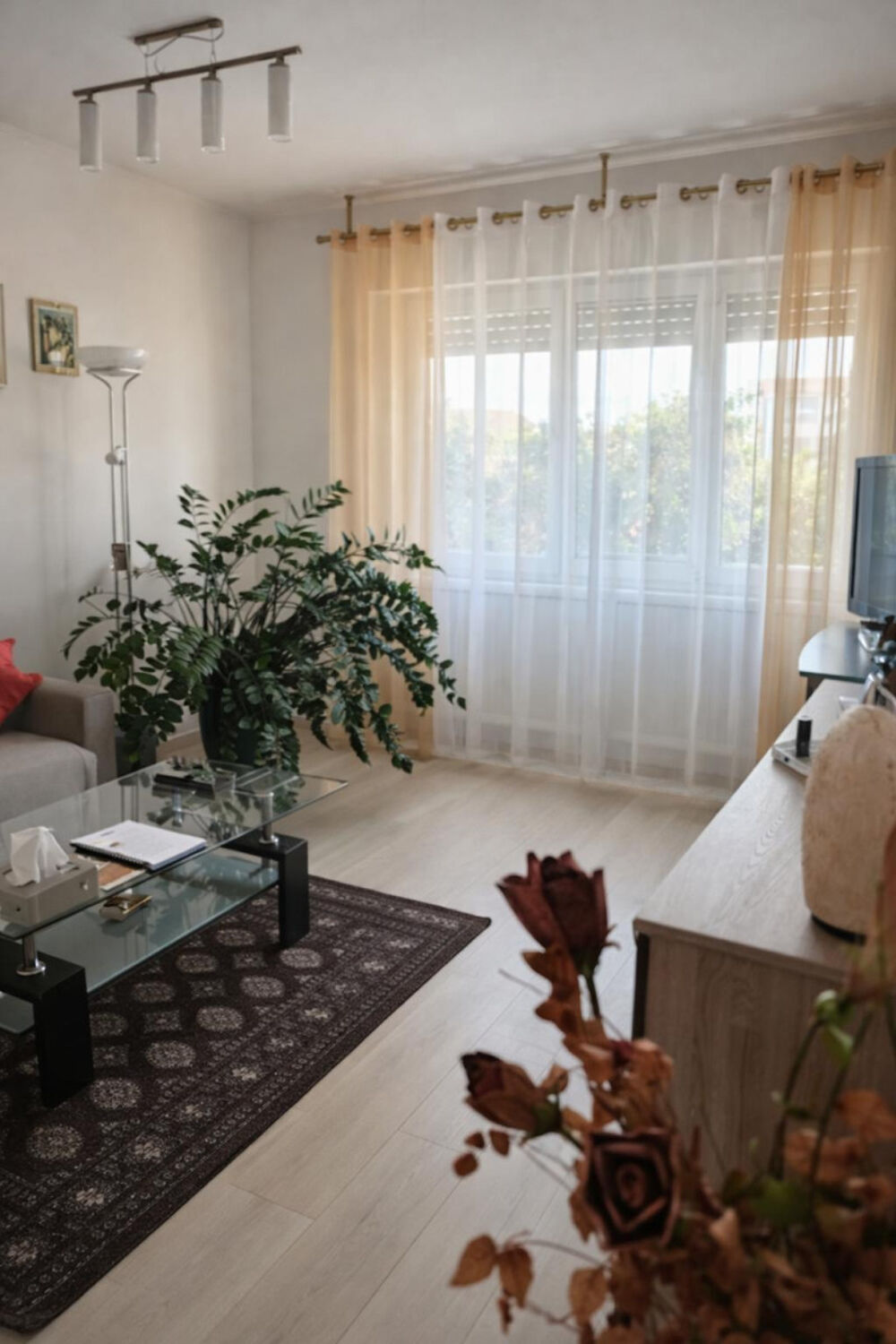 Appartement T3 RDC discret et bien placé