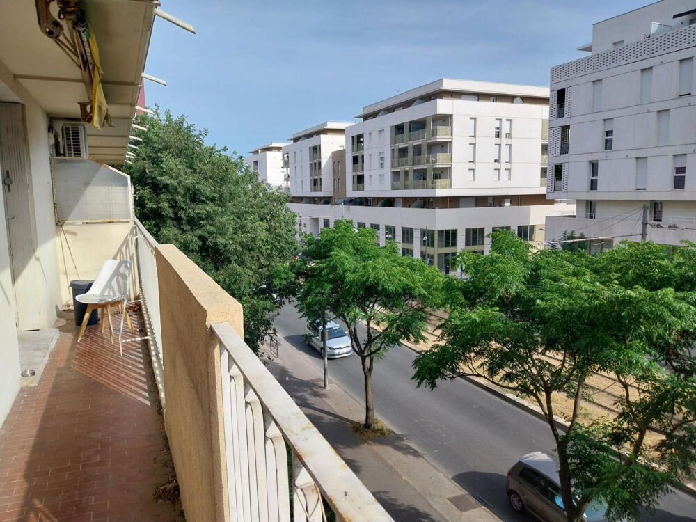 Location Appartement Appartement en colocation - Montpellier Sud Montpellier