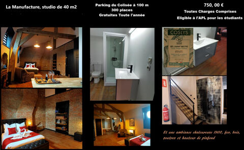   Magnifique studio, calme, avec charme et cachet Appartement - 2 pi�ce(s) - 40 m�