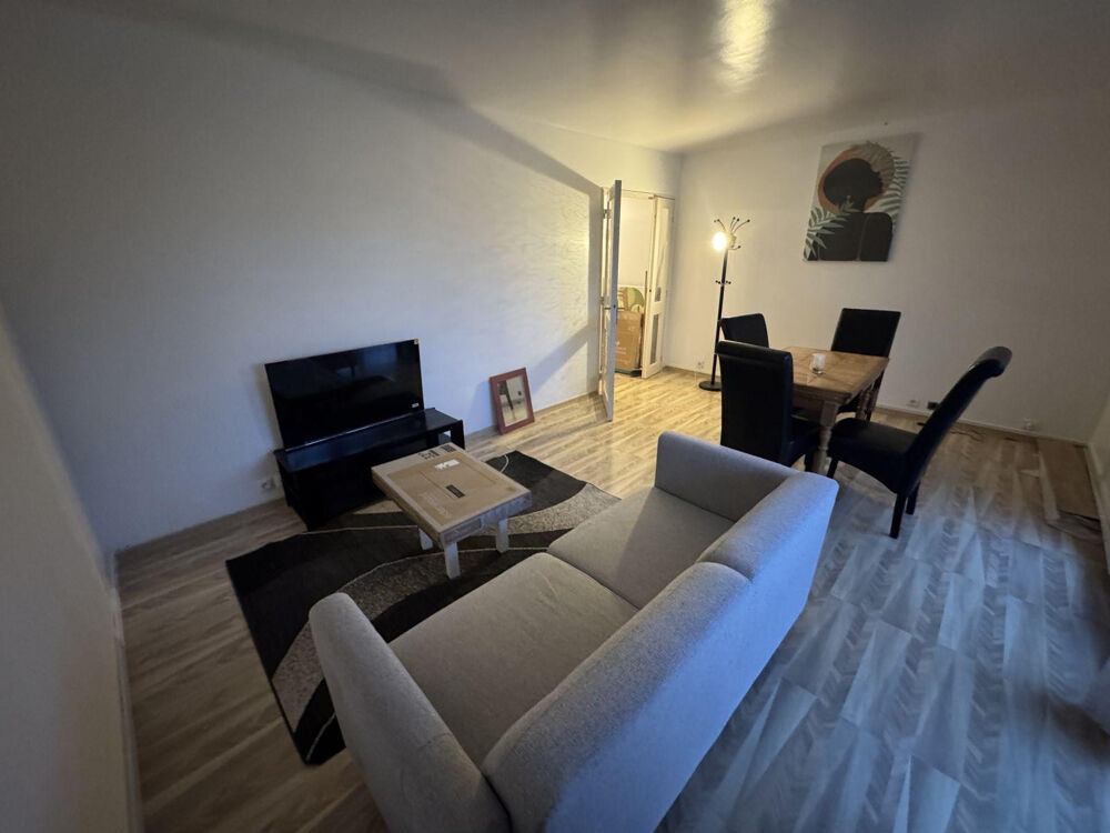 Location Appartement Grand appartement chaleureux Yerres
