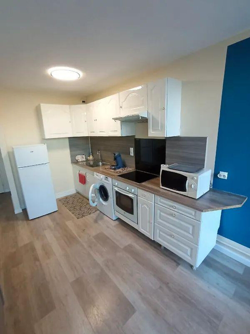 Location Appartement Grand studio meublé et rénové 40m² avec terrasse Grenoble