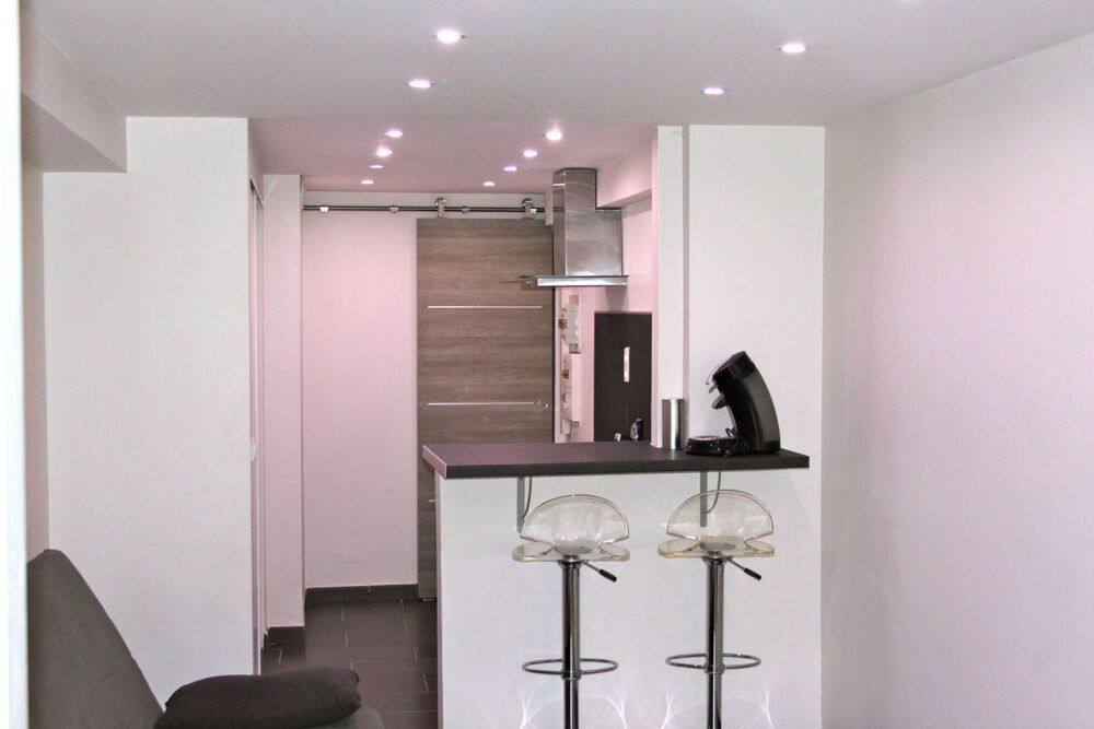 Location Appartement Loue STUDIO DE 23m2 entièrement rénové LYON 01 Lyon 1