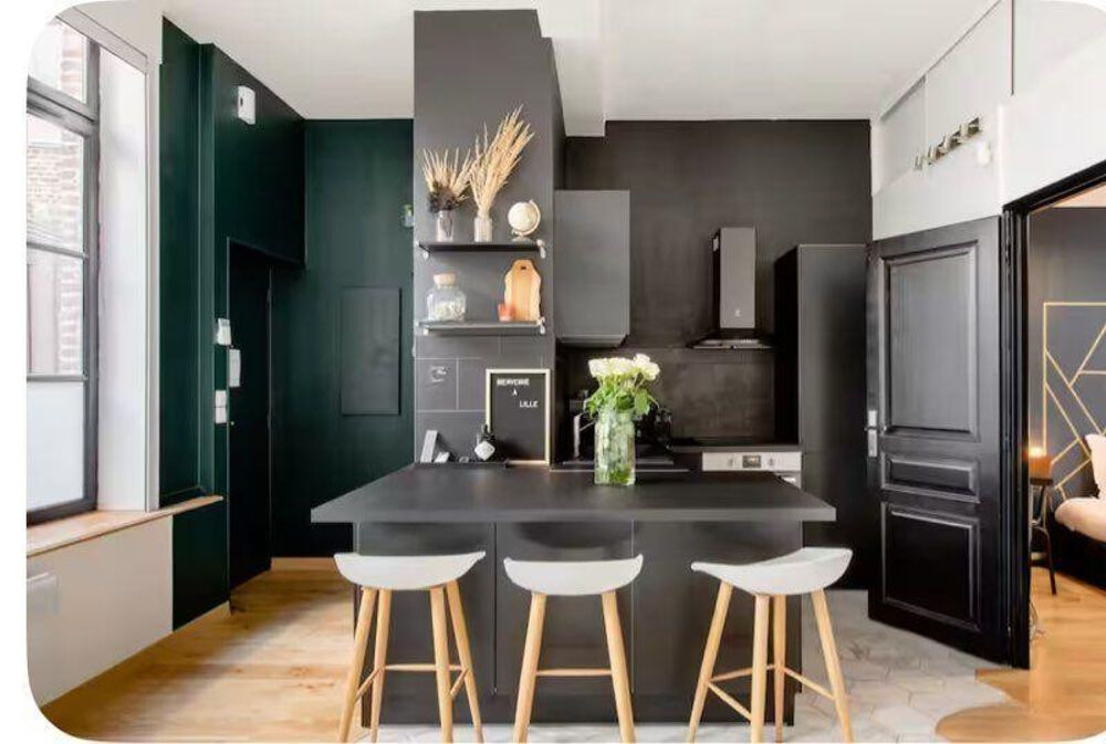 Location Appartement Beau T2 meublé haut de gamme 39m² Lille