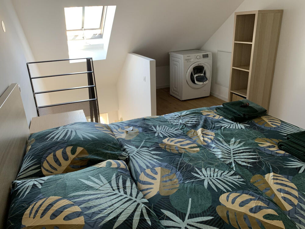 Location Appartement Charmant duplex meublé , Hyper-centre de Metz Metz