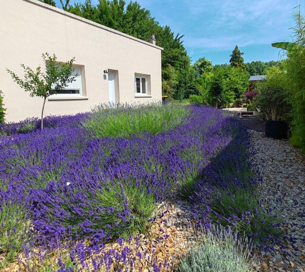 Petite maison meublée ,à louer, refait à neuf