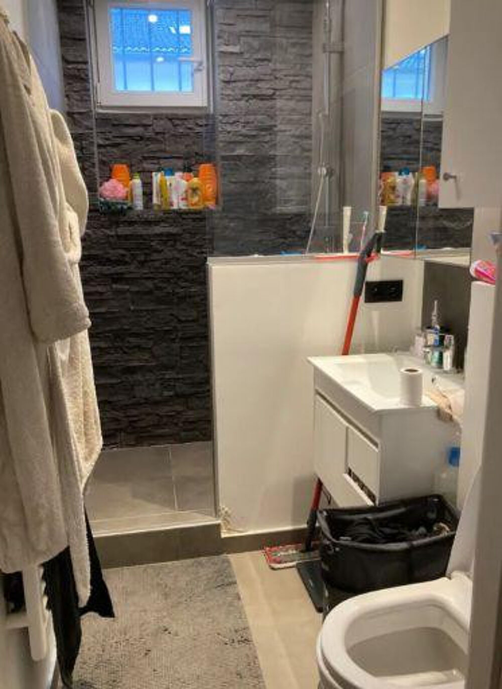 Location Appartement Studio meublé à louer Charenton-le-pont
