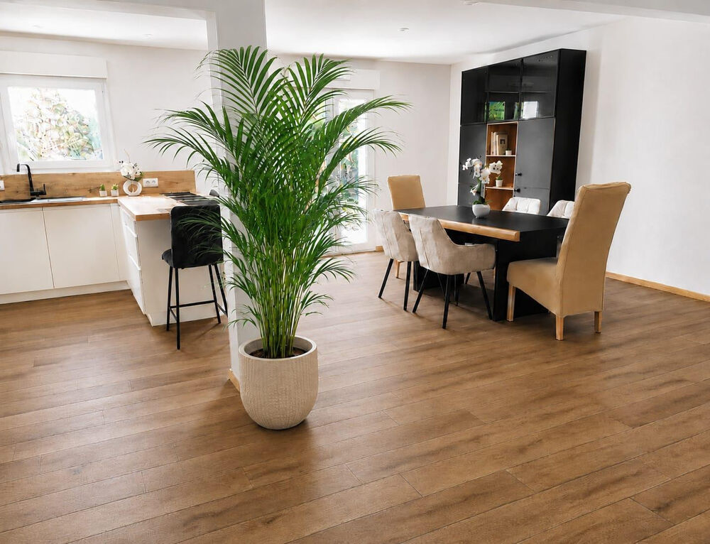 Location Maison Maison calme pour famille ou professionnels, DPE A Pornichet