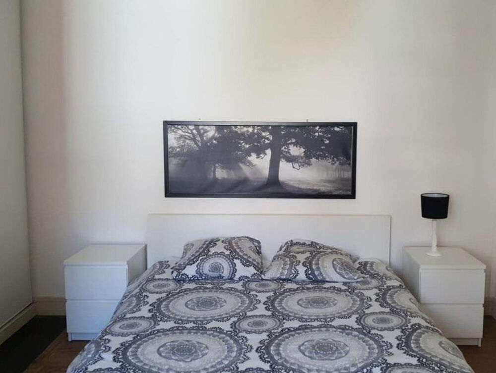 Location Appartement Appart 2 pieces meuble Nantes