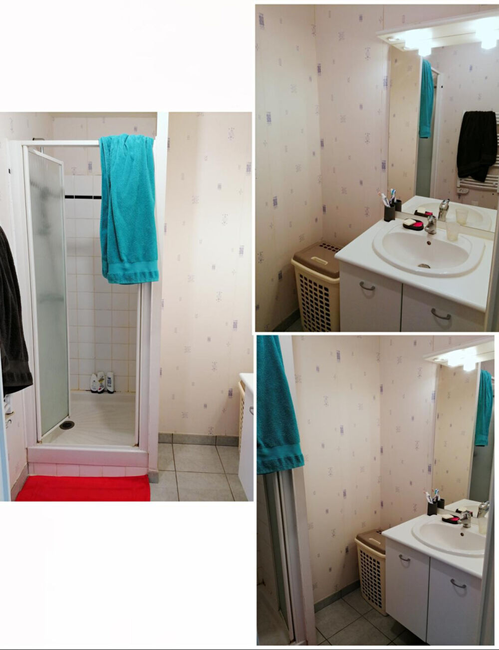 Location Appartement Charmant T2 non meublé à Cesson Sévigné Cesson-sévigné