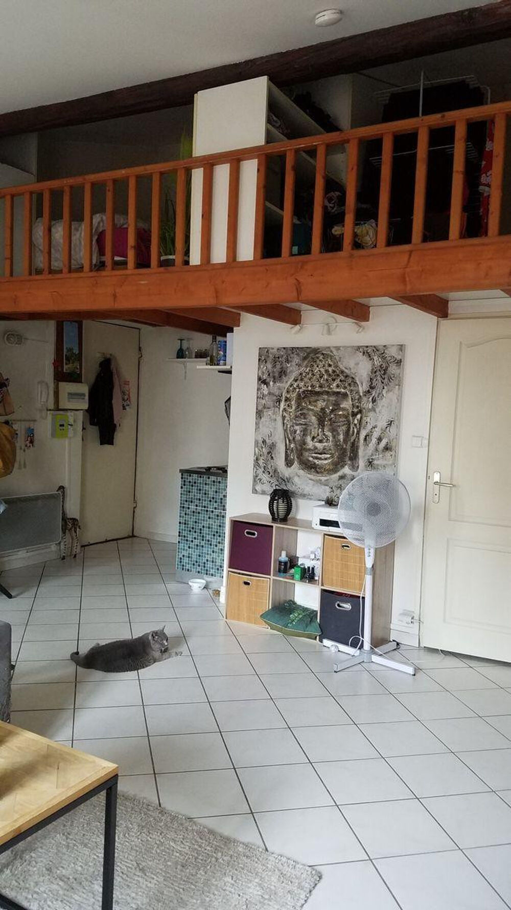 Superbe studio 42 m² (dont 14 m² mezzanine)