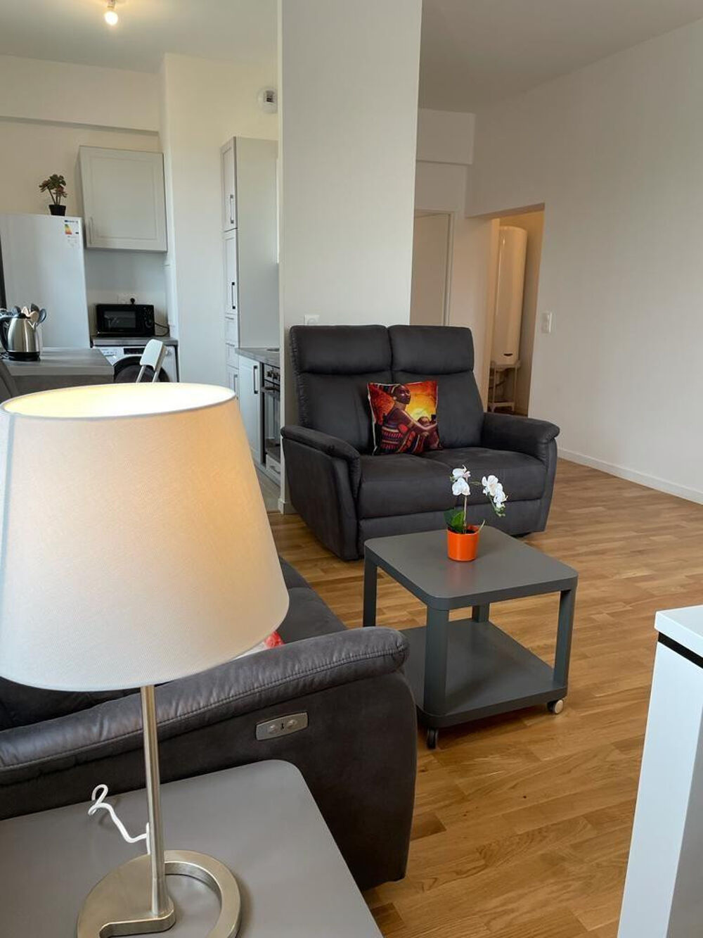 Location Appartement Bel appartement lumineux avec vue sur Seine Corbeil-essonnes