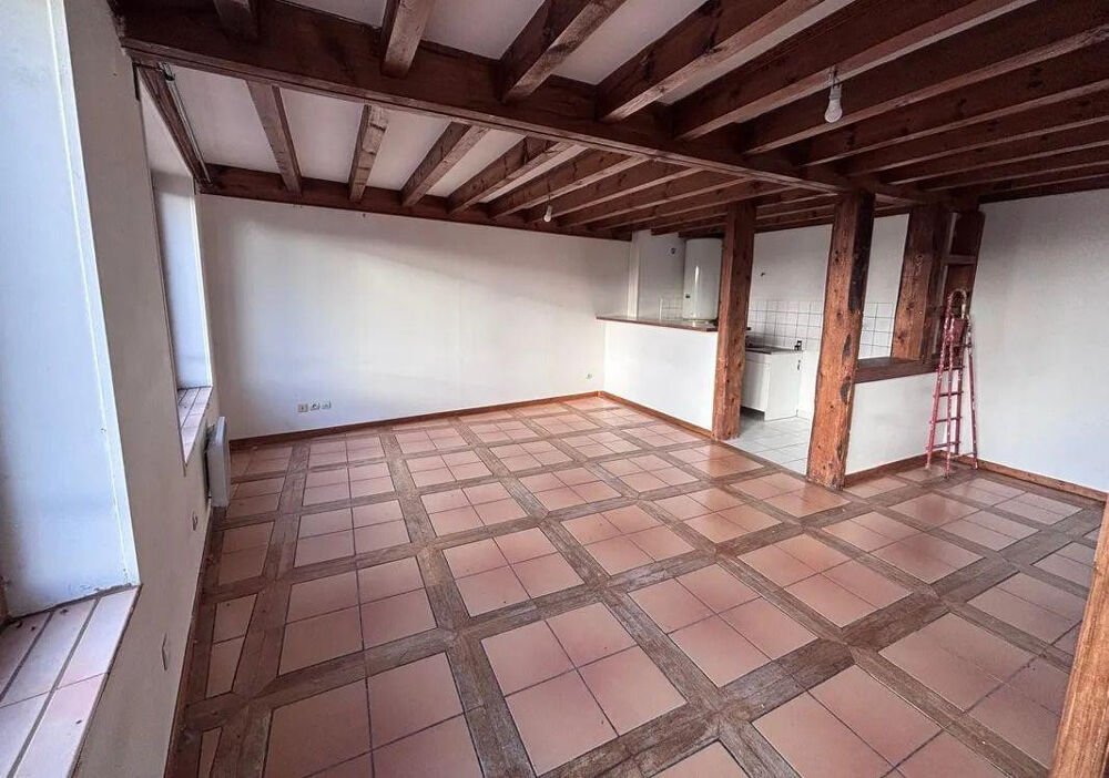 Location Appartement Beau triplex 3P 65m²  village de Rochetaillée Saint-Étienne