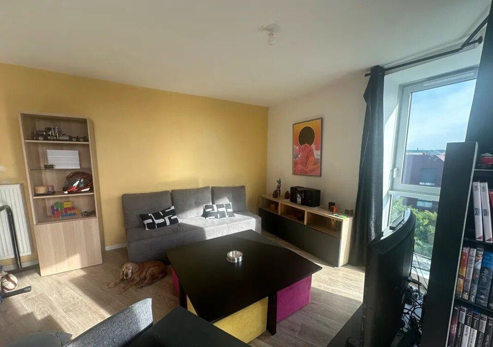 Location Appartement Beau T3 67m² lumineux et meublé Lille