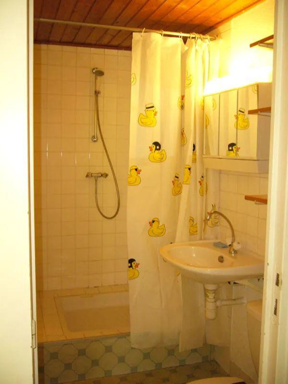 Location Appartement Beau studio 24m² donnant sur jardin Nantes Nantes