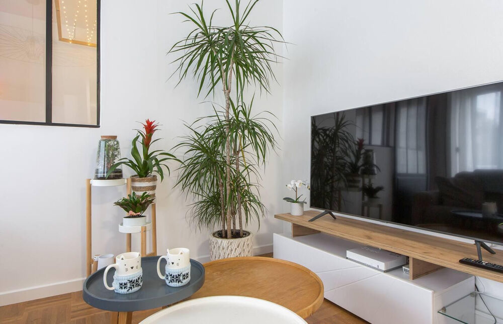 Location Appartement 42m², Gratte-Ciel Villeurbanne