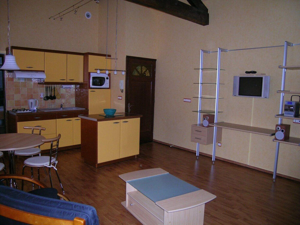 Location Appartement Superbe studio/loft meublé 35m² comme une maison Lyon 6