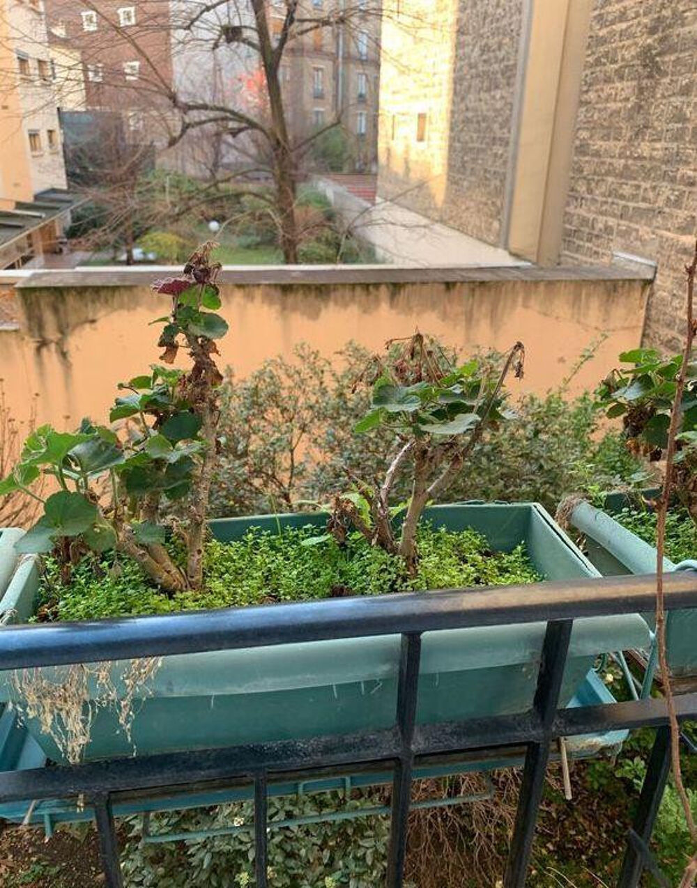 Location Appartement Beau 2 pièces meublé à Bécon très calme Courbevoie