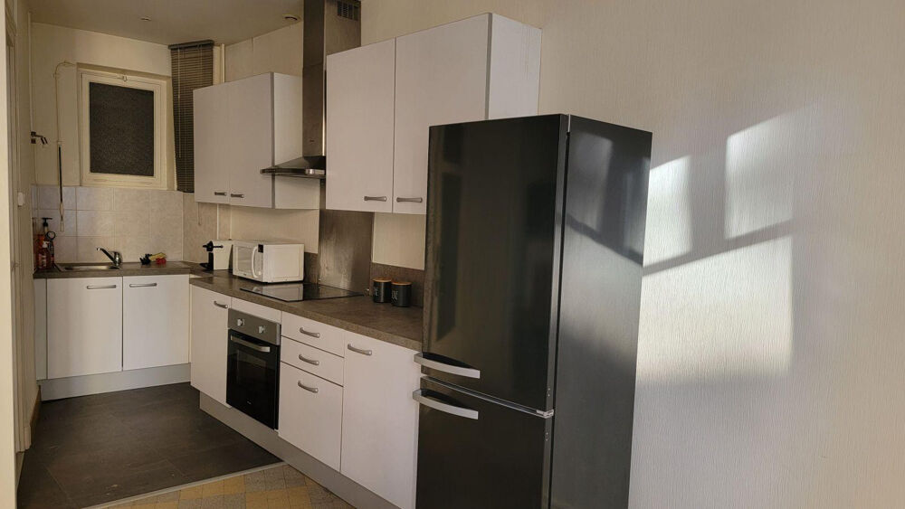 Location Appartement Spacieux lumineux T2 de 59m2 centre ville 550€ Saint-Étienne