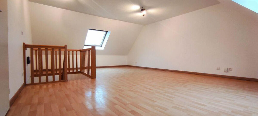 Location Appartement Appartement 2 pièces en duplex centre Mulhouse Mulhouse