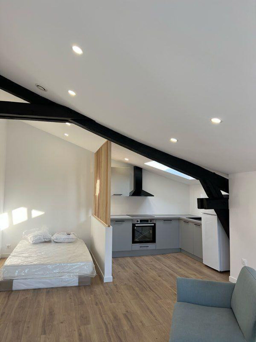 Location Appartement Beau studio type loft Nancy