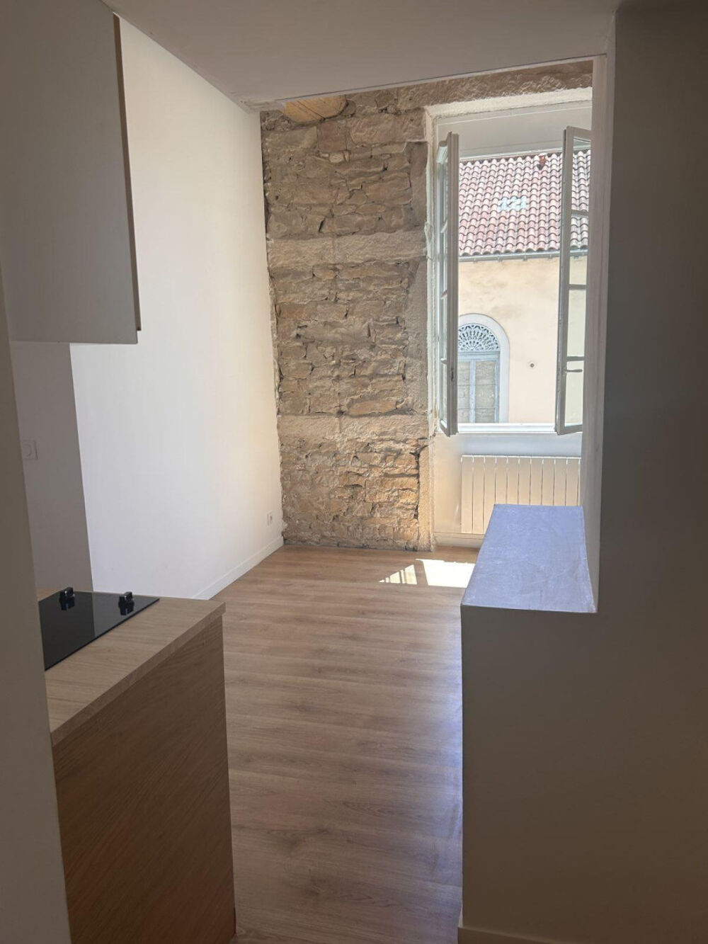 Location Appartement Studio Lyon 1er plein centre refait à neuf ! Lyon 1
