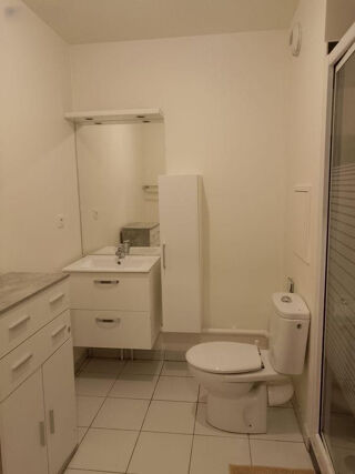 Appartement à louer 1 pièce 29 m²
