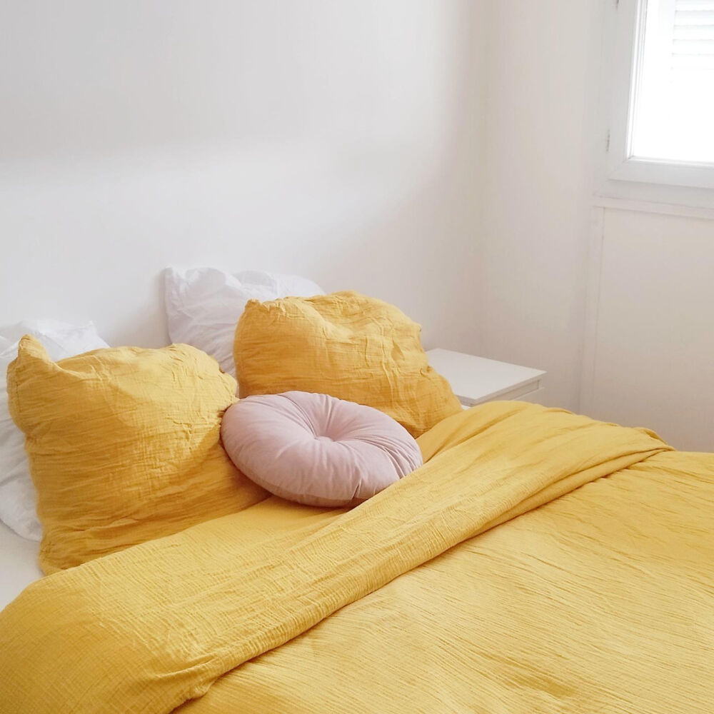 Location Appartement Colocation chaleureuse et conviviale Toulouse