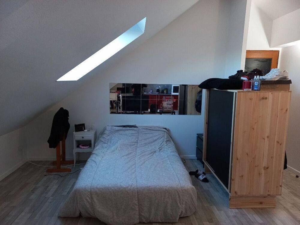 Location Appartement Grand studio 30m2 en très bon état avec jardin Saintry-sur-seine
