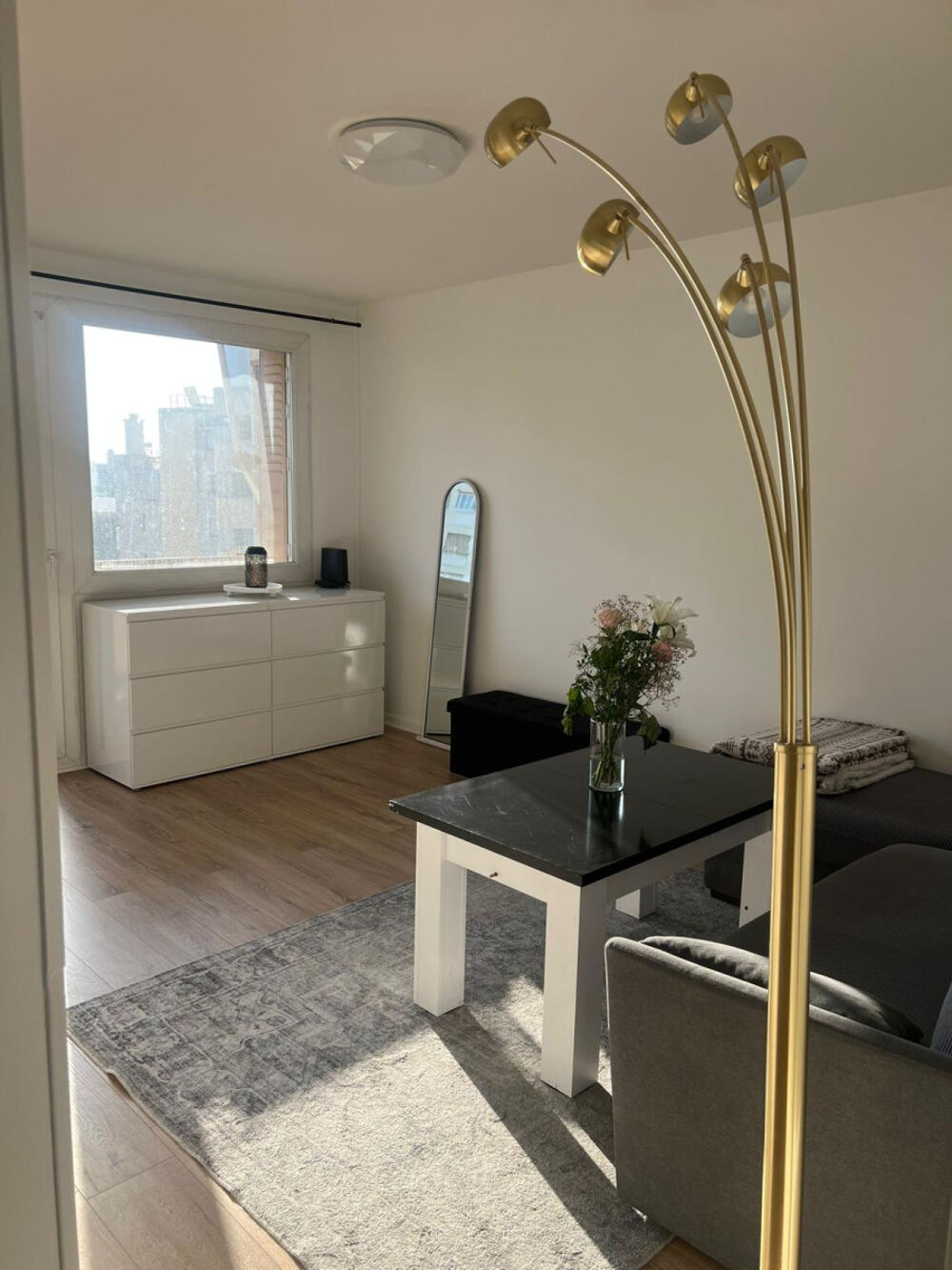Location Appartement Appartement T3 meublé à neuf pour colocation Villeurbanne