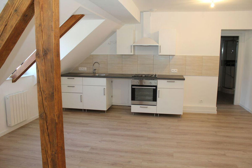 Location Appartement Contades, Beau 3p lumineux, rénové et équipé Strasbourg