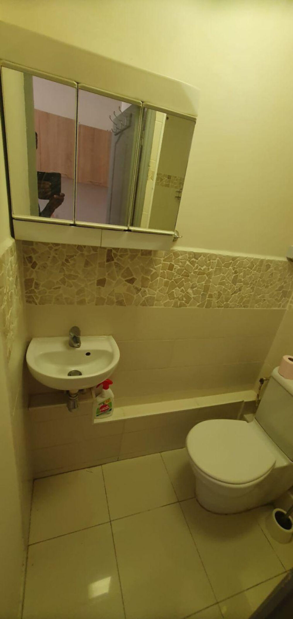 Location Appartement Charmant studio meublé 18m²  plein de charme Vitry-sur-seine