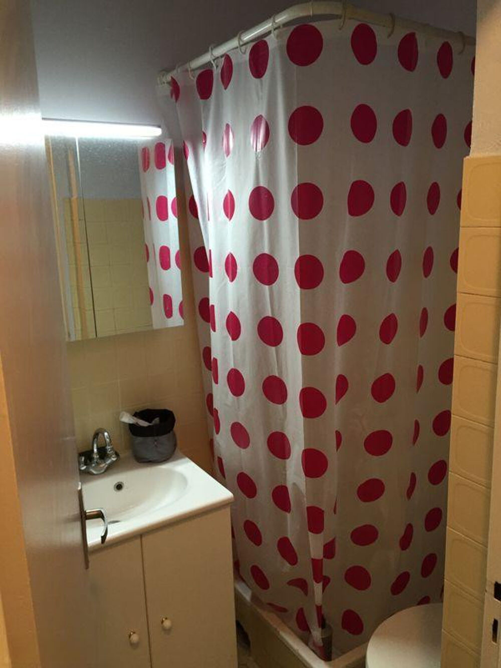 Location Appartement Agréable studio meublé de 17m2 + balcon Saint-maur-des-fossés