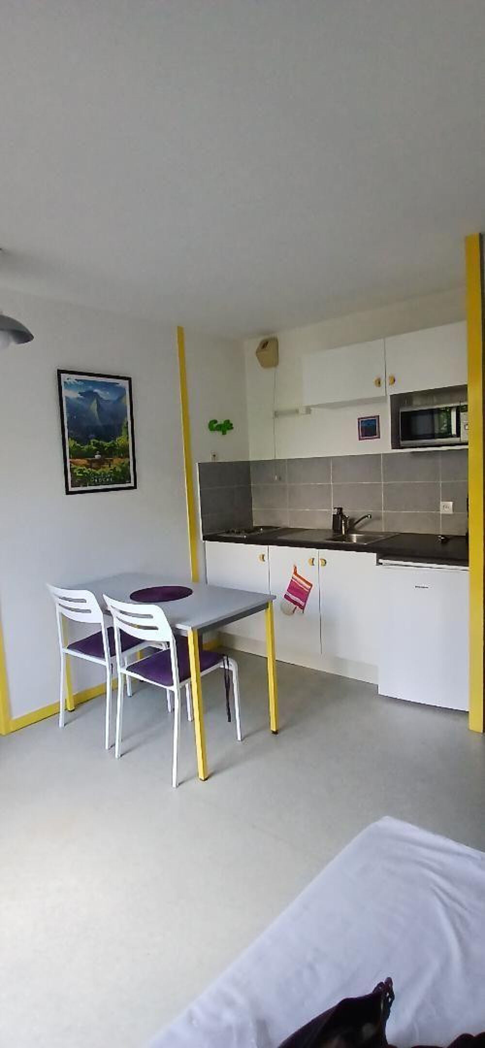 Location Appartement APPARTEMENT MEUBLE 30 M2 CAMPUS TREFILERIE Saint-Étienne