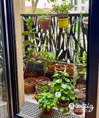  Appartement � vendre 2 pi�ces 53 m�