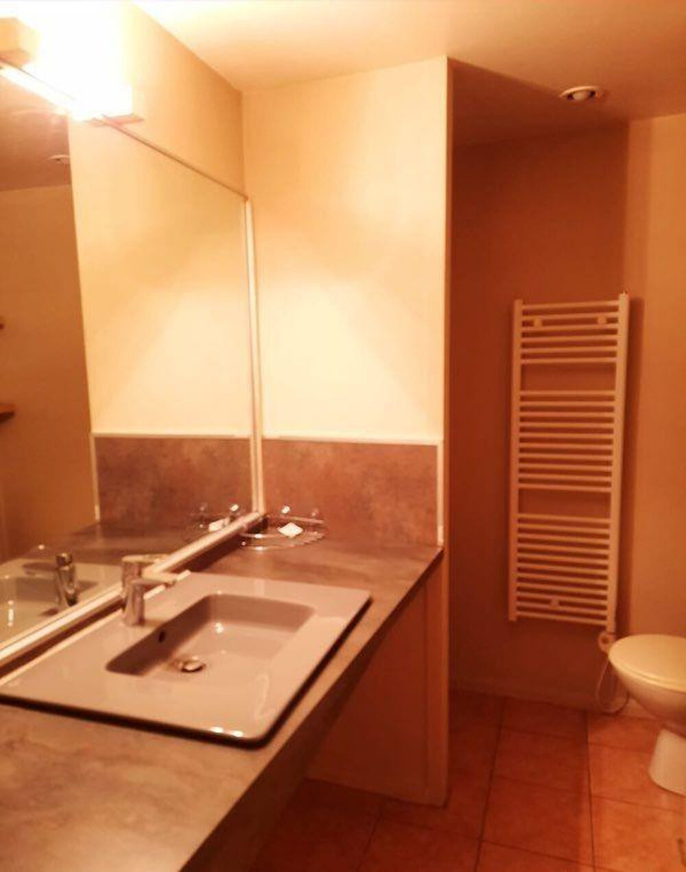 Location Appartement Beau T1 meublé 35m² Allée de Brienne Toulouse
