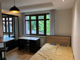  Appartement à louer 1 pièce 20 m²