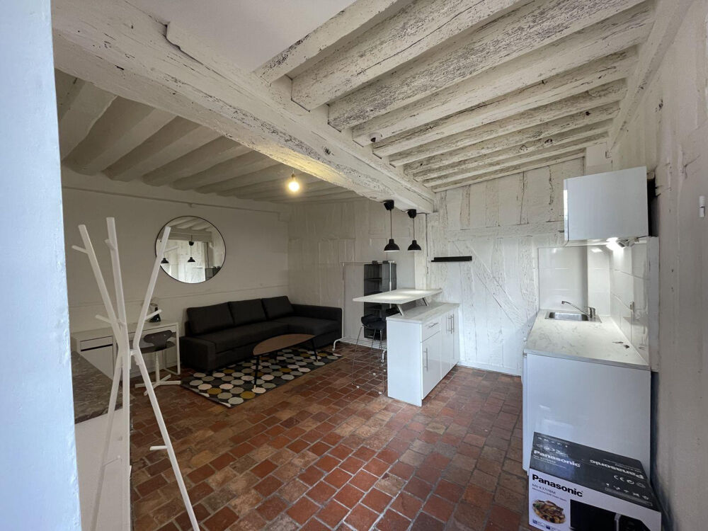 Location Appartement Grand Studio meublé terrasse Proche gare-faculté Orléans