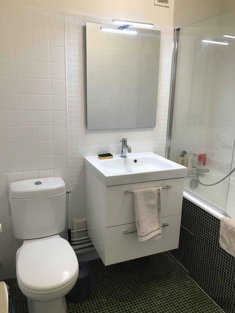 Studio meublé 30m² Plein centre Cours Langlet