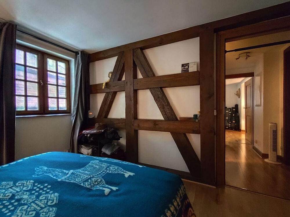 Location Appartement Hypercentre Petite France F2 exceptionnel Strasbourg