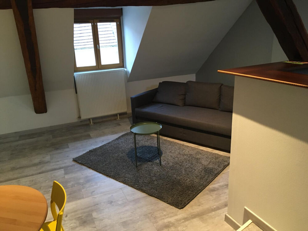Location Appartement Grand T2 atypique meublé Louvres