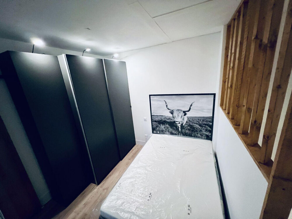Location Appartement Studio lumineux avec vues, refait à neuf. Paris 11