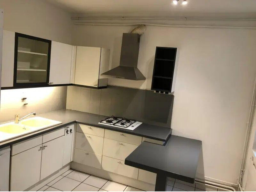 Location Appartement Appartement idéal pour famille, vaste et lumineux Caluire-et-cuire