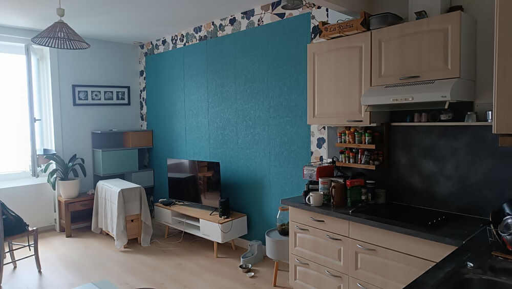 Location Appartement Appartement avec jardin au calme parking facile Nantes