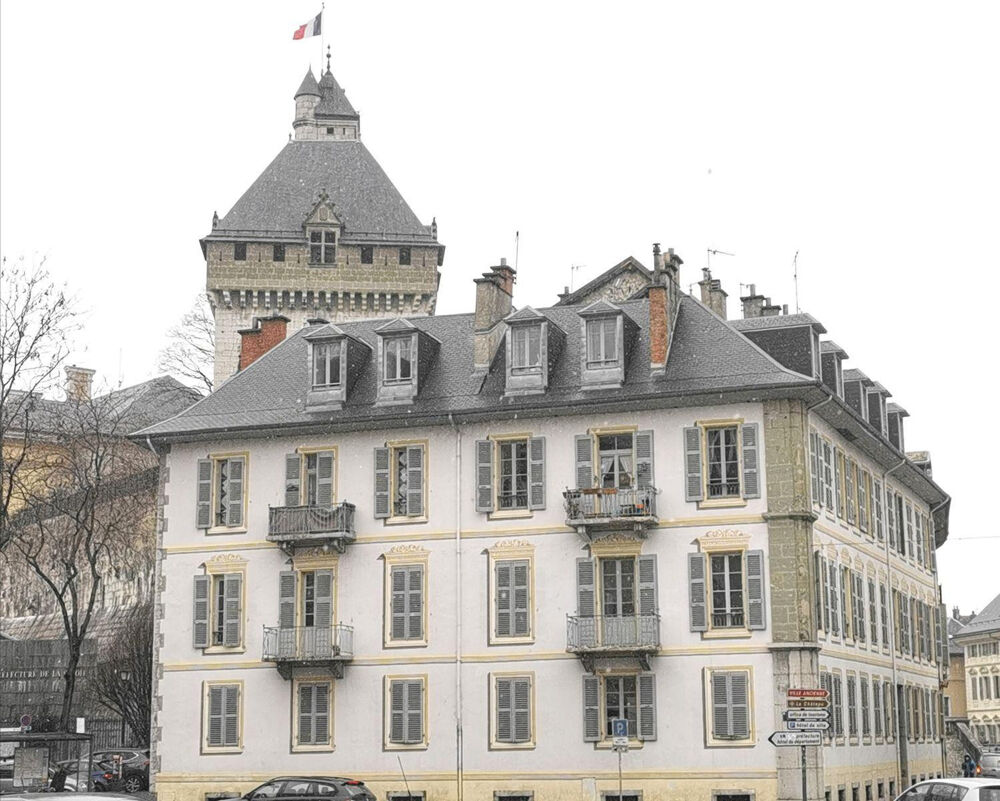 Location Appartement Magnifique T2 meublé hypercentre Chambéry Chambéry